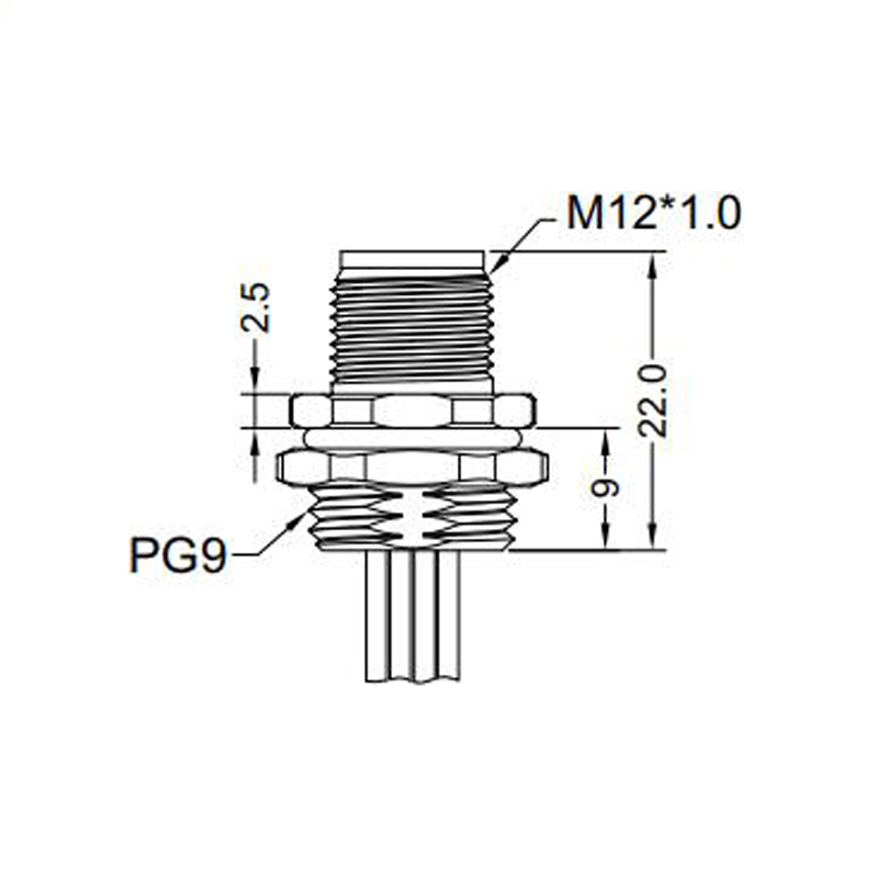 M12 2pins C code male straight rear panel mount connector PG9 thread,unshielded,single wires,brass with nickel plated shell