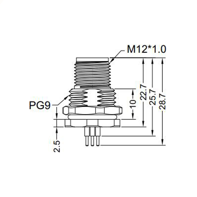 M12 5pins C code male straight front panel mount connector PG9 thread,unshielded,insert,brass with nickel plated shell