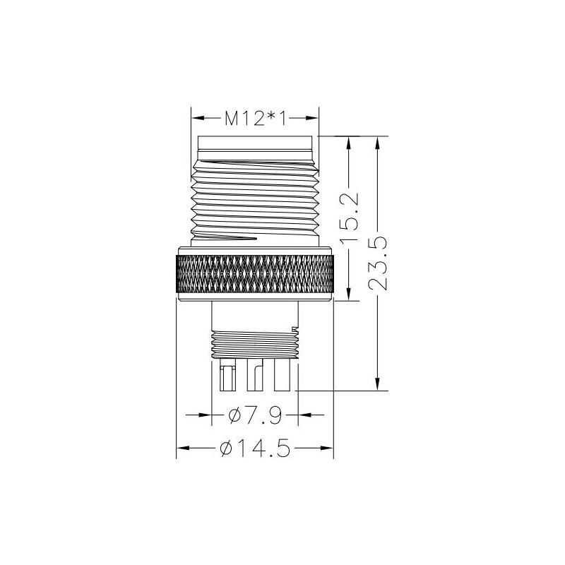 M12 5pins C code male moldable connector,unshielded,brass with nickel plated screw