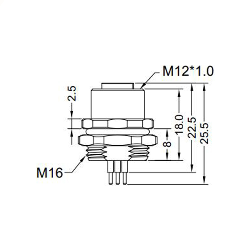 M12 3pins A code female straight rear panel mount connector M16 thread,unshielded,insert,brass with nickel plated shell