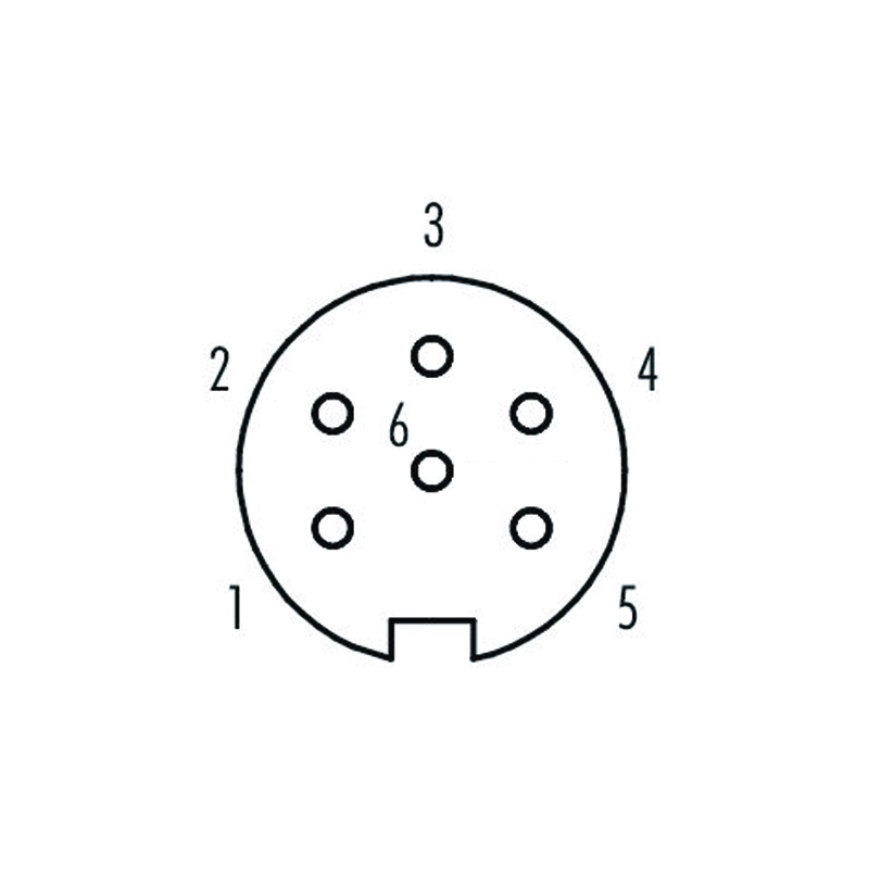 M16 6pins A code female moldable connector,unshielded,brass with nickel plated screw