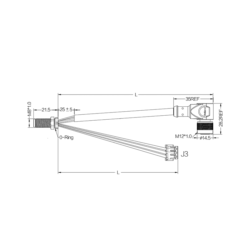 M8 6pins A code male front mount connector+M12 4pins A code female to JST EHR-3 connector/